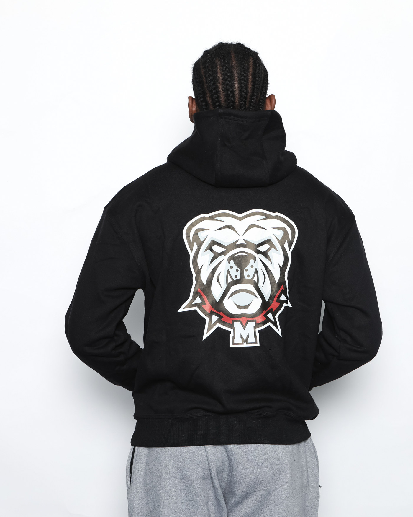 Hoodie Lifestyle - Dog — visuel 5