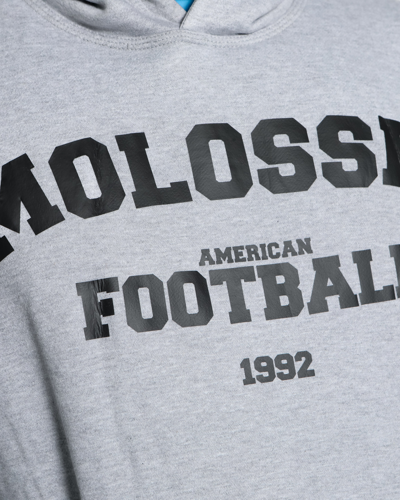 Hoodie Lifestyle - Molosses since 1992 — visuel 5