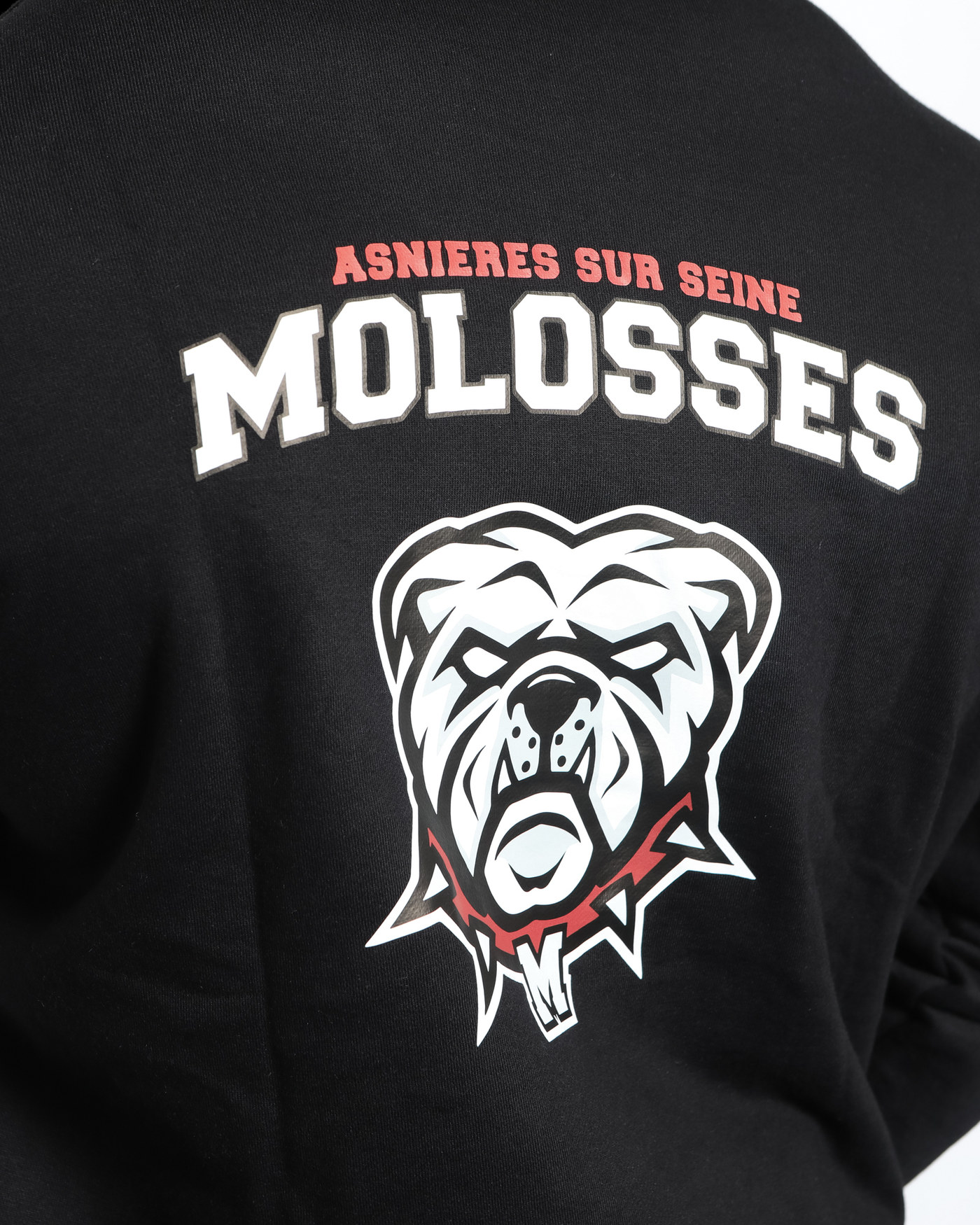 Hoodie Lifestyle - Molosses Asnières — visuel 4